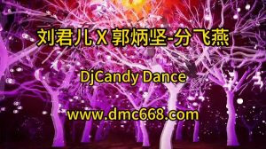 刘君儿 X 郭炳坚-分飞燕(粤语 DjCandy Dance Rmx V2 弹 可开场)-DMC视频舞曲