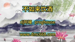 不如来饮酒（dj阿福）-DMC视频舞曲