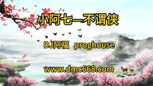 小阿七—不谓侠 DJ阿福-DMC视频舞曲