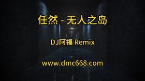 任然 无人之岛(DJ阿福 Remix)-DMC视频舞曲