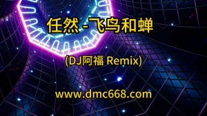 任然 -飞鸟和蝉 (DJ阿福 Remix)-DMC视频舞曲