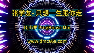 张学友- 只想一生跟你走(Dj小罗 ProgHouse Mix粤语男)-DMC视频舞曲