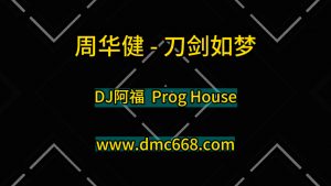 周华健-刀剑如梦-DJ阿福-DMC视频舞曲