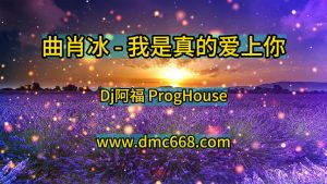 曲肖冰 - 我是真的爱上你(Dj阿福 ProgHouse Mix国语女)-DMC视频舞曲