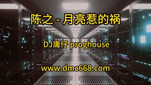 陈之 - 月亮惹的祸 (DJ庸仔 2021 Remix)-DMC视频舞曲