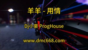 羊羊 - 用情(Dj小豪 ProgHouse Mix国语女)-(故里工作室Mix)-DMC视频舞曲