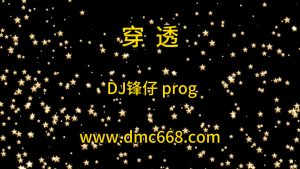 穿透 DJ锋仔制作-DMC视频舞曲