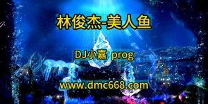 刘超修改#林俊杰-美人鱼-DJ小嘉-DMC视频舞曲