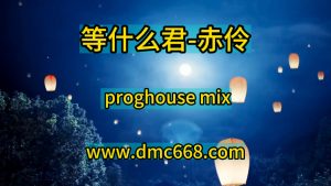 等什么君-赤伶-DMC视频舞曲