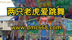 两只老虎爱跳舞-DMC视频舞曲