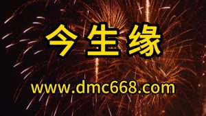 今生缘-DMC视频舞曲