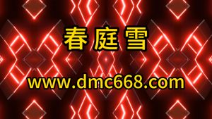 春庭雪-DMC视频舞曲