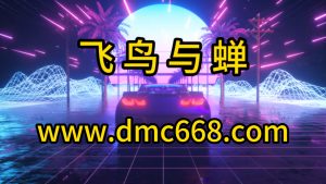 飞鸟与蝉-DMC视频舞曲