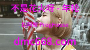 不是花火呀 - 年轮(Dj阿智 ProgHouse Rmx 2023)-DMC视频舞曲