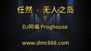 任然 无人之岛(DJ阿福 Remix)-DMC视频舞曲