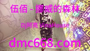 伍佰 - 挪威的森林(Dj阿亮 VinaHouse Rmx)-DMC视频舞曲
