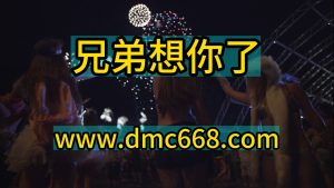 兄弟想你了-DMC视频舞曲