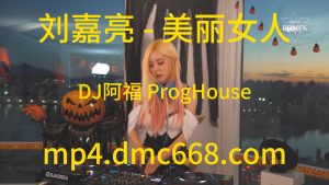 刘嘉亮 - 美丽女人(DJ阿福 ProgHouse Mix国语男)-DMC视频舞曲