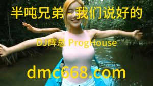 半吨兄弟 - 我们说好的(DJ辉总 ProgHouse Rmx 2023)-DMC视频舞曲