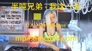 半吨兄弟 - 我这一生 DJ小M ProgHouse-DMC视频舞曲