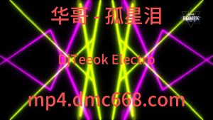 华哥 - 孤星泪(DjTeeok Electro Mix国语男)-DMC视频舞曲