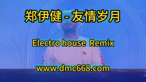 郑伊健 - 友情岁月 Electro house-DMC视频舞曲