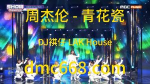周杰伦 - 青花瓷（DJ祺仔 LAK House Mix）-DMC视频舞曲