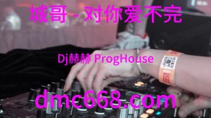 城哥 - 对你爱不完(Dj赫赫 ProgHouse Rmx 2023)-DMC视频舞曲
