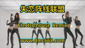 失恋阵线联盟-DMC视频舞曲
