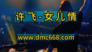 女儿情-DMC视频舞曲
