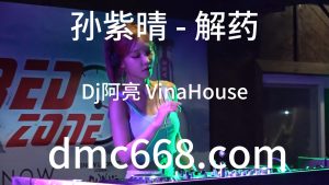孙紫晴 - 解药(Dj阿亮 VinaHouse Rmx )-DMC视频舞曲