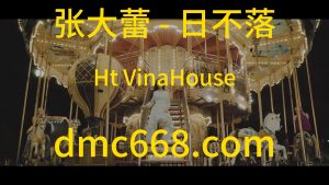 张大蕾 - 日不落(Ht VinaHouse Rmx 2024)-DMC视频舞曲