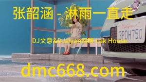 张韶涵 - 淋雨一直走 （DJ文意&DJsiyan四眼 Lak House 弹 2023 Remix)-DMC视频舞曲