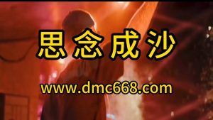 思念成沙-DMC视频舞曲
