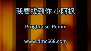 我要找到你 小阿枫2-DMC视频舞曲