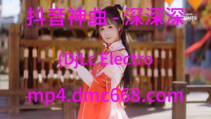 抖音神曲 - 深深深(DjLc Electro Mix 男)演唱会版-DMC视频舞曲