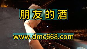 朋友的酒 Electro house Remix-DMC视频舞曲