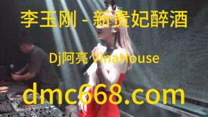 李玉刚 - 新贵妃醉酒(Dj阿亮 VinaHouse Rmx )-DMC视频舞曲