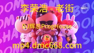 李荣浩 - 老街（DJ辉总 ProgHouse 2022ReMix)-DMC视频舞曲