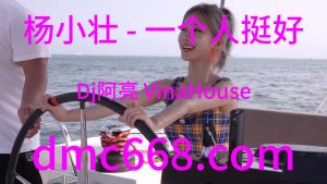 杨小壮 - 一个人挺好(Dj阿亮 VinaHouse Rmx 2）-DMC视频舞曲