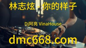 林志炫 - 你的样子(Dj阿亮 VinaHouse Rmx)-DMC视频舞曲