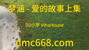 梦涵 - 爱的故事上集(DJ小罗 VinaHouse Mix 粤语女)-DMC视频舞曲