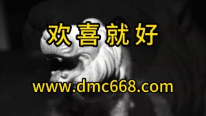 欢喜就好 Electro house Remix-DMC视频舞曲