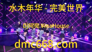 水木年华 - 完美世界(Dj阿亮 VinaHouse Rmx)-DMC视频舞曲