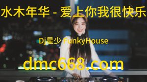 水木年华 - 爱上你我很快乐(Dj星少 FunkyHouse Mix)-DMC视频舞曲