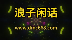 浪子闲话 Electro house Remix-DMC视频舞曲