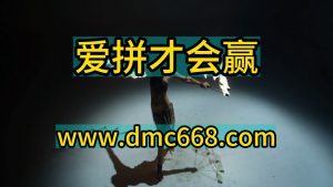 爱拼才会赢-DMC视频舞曲