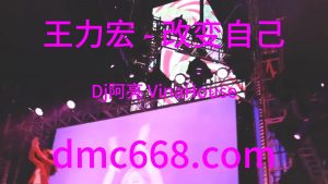 王力宏 - 改变自己(Dj阿亮 VinaHouse Rmx 2024)-DMC视频舞曲