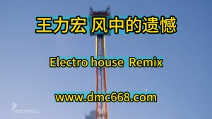 王力宏 风中的遗憾 Electro house Remix-DMC视频舞曲