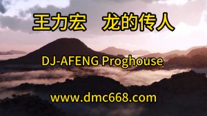 王力宏 龙的传人 DJ-AFENG-DMC视频舞曲